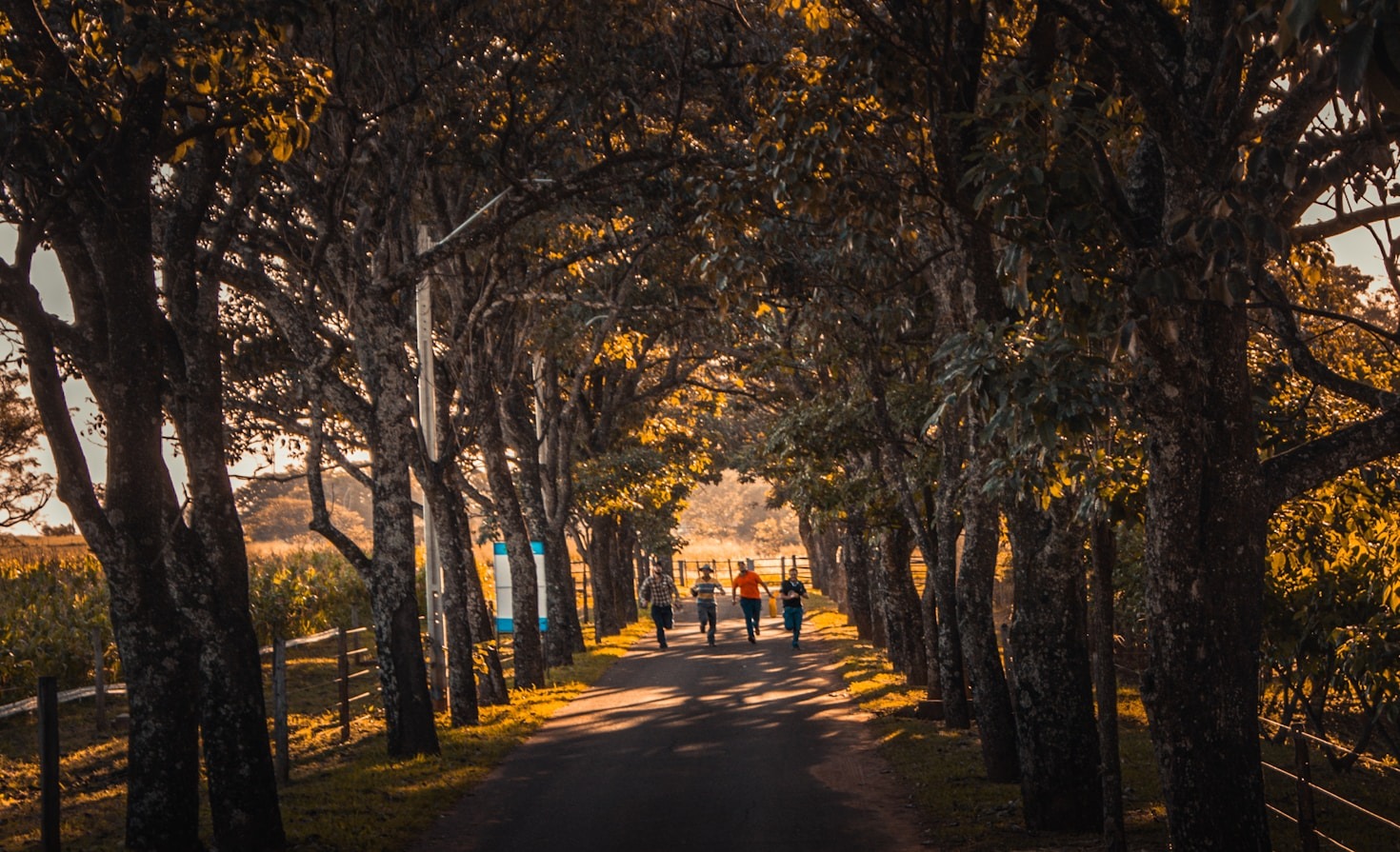 Exploring Nature: A Beginner’s Guide to Hiking