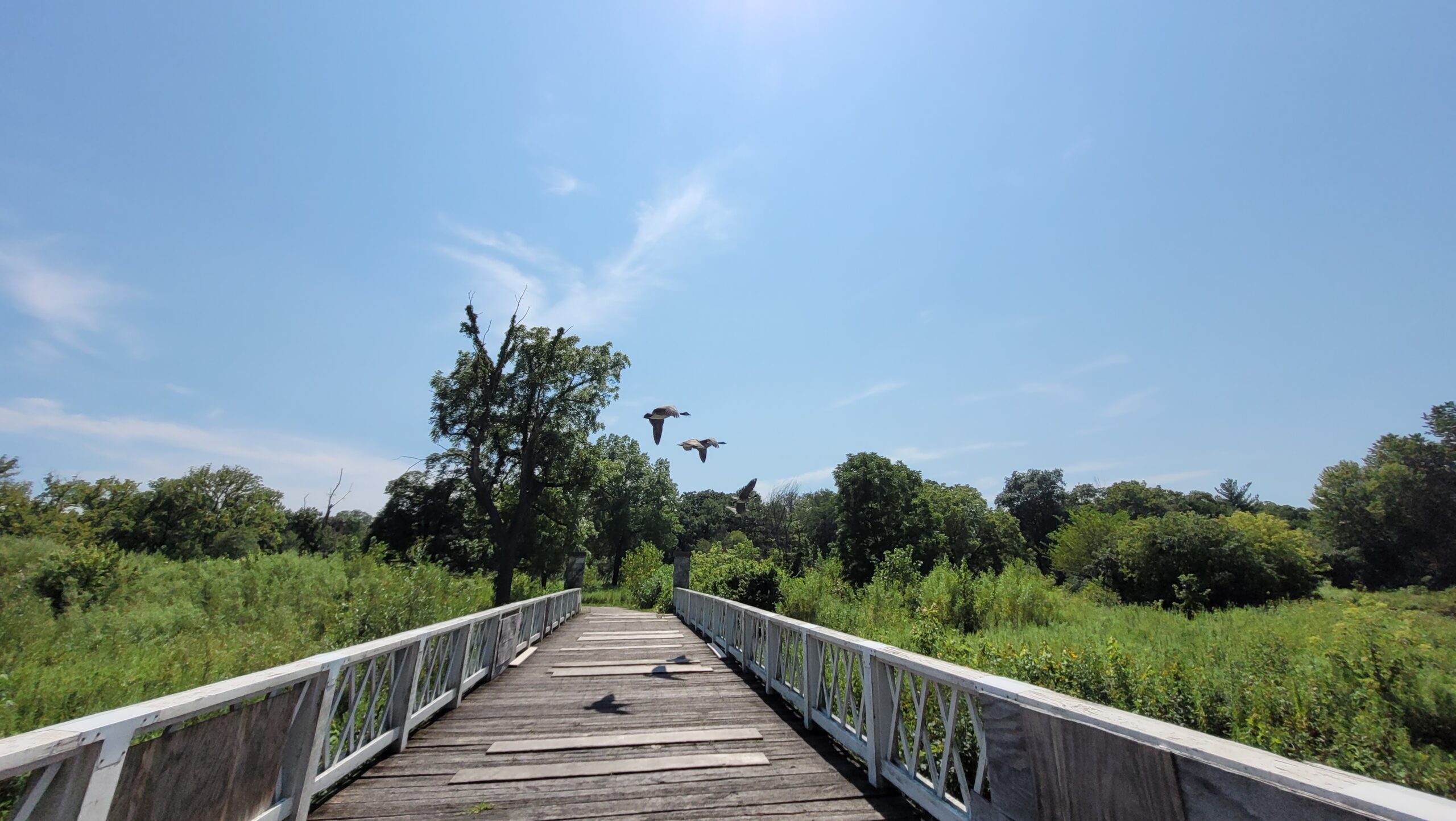 Mount Hoy and Blackwell Forest Preserve